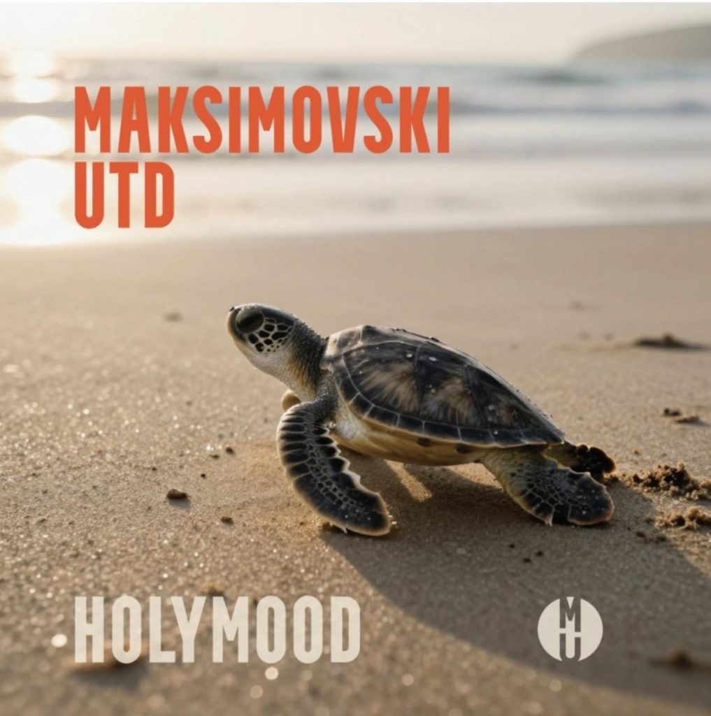 Илустрација на албумот Holymood од Maksimovski United